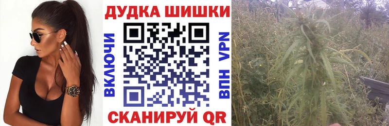 Как найти наркотики Михайловск Cocaine  Амфетамин  Гашиш  Мефедрон 