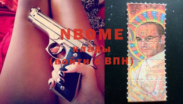 2c-b Богородицк