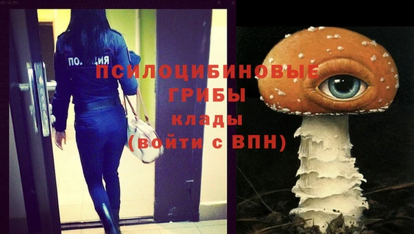 2c-b Богородицк
