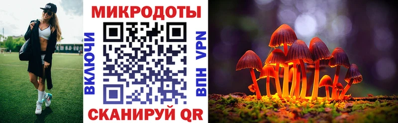 что такое Михайловск Псилоцибиновые грибы мицелий